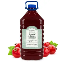 syrop-gastronomiczny-o-smaku-zurawinowym-5l