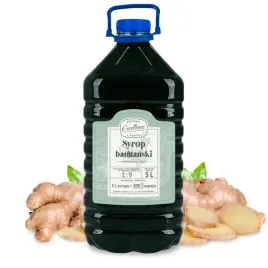 syrop-gastronomiczny-o-smaku-imbirowym-5l