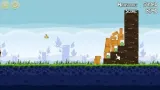angry-birds-nowa-gra-dla-dzieci-folia-pc-cd-rom-wydawca-inny
