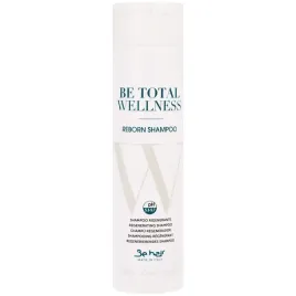 be-hair-wellness-szampon-regenerujacy-300ml-do-wlosow-suchych-zniszczonych