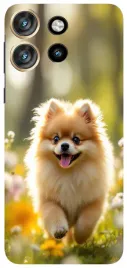 etui-case-do-motorola-edge-70-pieski