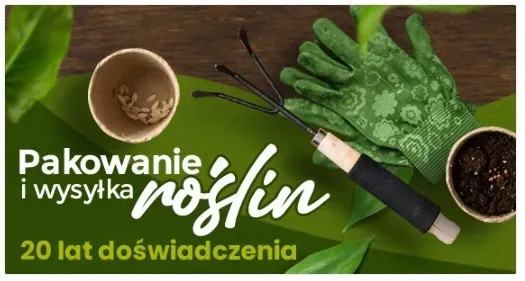 czeresnia-van-2-109
