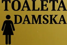 tabliczka-aluminiowa-na-drzwi-toaleta-damska-15x10-nierdzewna