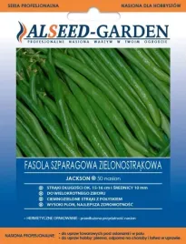fasola-szparagowa-zielonostrakowa-jackson-nasiona-holenderskie-50-sztuk