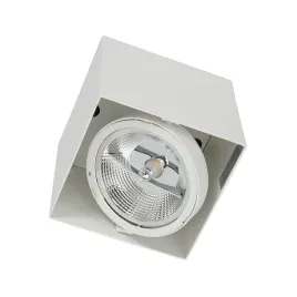 oprawa-natynkowa-plaza-1xgu10-ar111-bialy