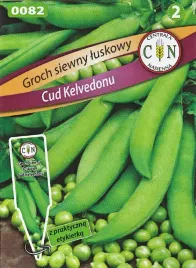 groch-cud-kelvedonu-wczesny-nasione-ciemnozielone-b-dobre-super-do-mrozenia