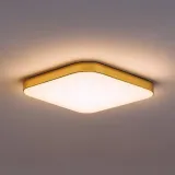 plafon-nemo-gold-17w-led