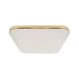 plafon-nemo-gold-17w-led-liczba-punktow-swiatla-wiecej-niz-12