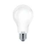 zarowka-led-e27-13w-2700k-a67-2szt