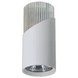 neo-bialy-chrom-downlight-1xgu10