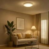 plafon-lago-36w-led-o480-ksztalt-okragly