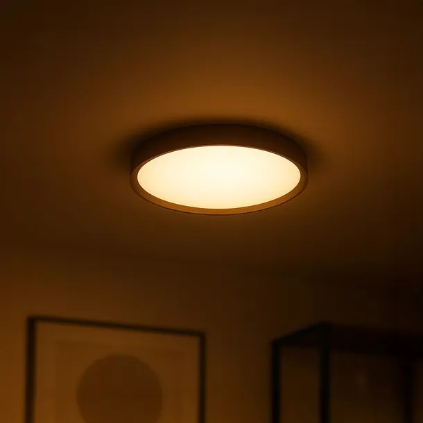 plafon-forest-24w-led-o390-ksztalt-okragly