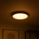 plafon-forest-24w-led-o390-ksztalt-okragly