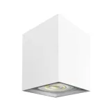 spot-bima-square-bialy-1xgu10