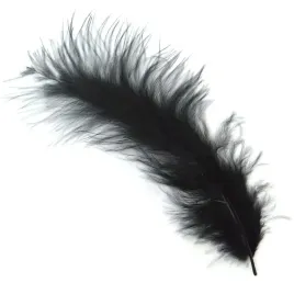 piorka-dekoracyjne-50-szt-czarne