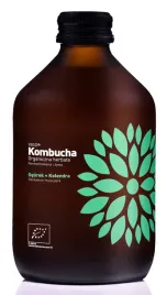 kombucha-z-ogorkiem-i-kolendra-bezglutenowa-bio-330-ml-vigo