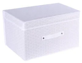 organizer-pojemnik-do-szafy-z-pokrywka-60x40x30cm-jasny