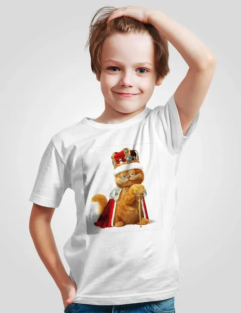 koszulka-junior-garfield-152-marka-inna-marka