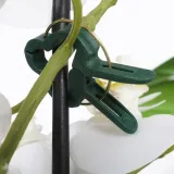 klipsy-do-roslin-20-szt-kod-producenta-339009