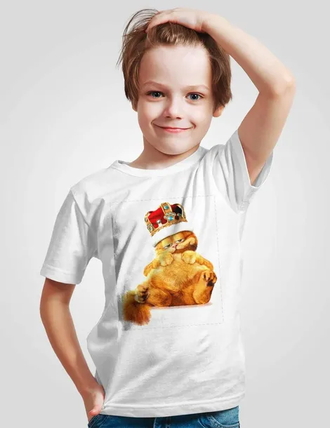 koszulka-junior-garfield-152-marka-inna-marka