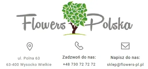 jablon-rubin-2-318-rodzaj-rosliny-jablonie