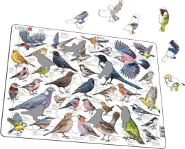 ukladanka-garden-birds-ptaki-ogrodowe-polne-maxi