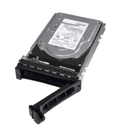 dell-2tb-7-2k-rpm-nlsas-12gbps