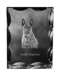 owczarek-holenderski-dutch-shepherd-dog-krysztal-ze-zdjeciem-psa-szklan