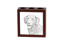 chesapeake-bay-retriever-stojak-na-dlugopisy-z-psem-organizer-na-biurko