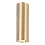 genesis-spot-gold-1xgu10-20cm