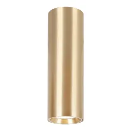 genesis-spot-gold-1xgu10-20cm