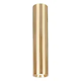 genesis-spot-gold-1xgu10-30cm