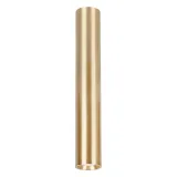 genesis-spot-gold-1xgu10-40cm