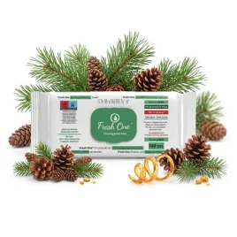 chusteczki-nawilzane-do-sprzatania-czyszczenia-sosna-grube-fresh-one-100szt