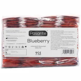 pasante-blueberry-blast-condoms-bulk-packs-144-pcs