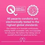 pasante-regular-condoms-3-pcs-marka-pasante