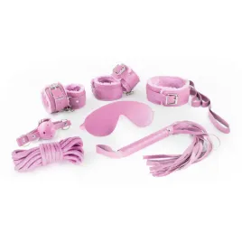 crushious-dungeons-and-maidens-bdsm-kit-pink