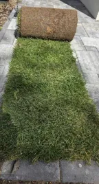 swieza-trawa-z-rolki-1m2