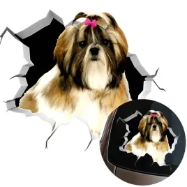 naklejka-grafika-na-auto-zbita-szyba-wygladajacy-pies-shih-tzu-dog-15x14