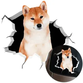 naklejka-grafika-na-samochod-zbita-szyba-wygladajacy-pies-shiba-dog-15x15