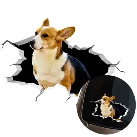 naklejka-grafika-na-samochod-zbita-szyba-wygladajacy-pies-corgi-dog-15x11