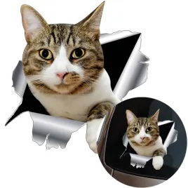 naklejka-grafika-na-samochod-kot-w-dziurze-3d-kotek-cat-kitty-lapka-15x14