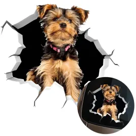 naklejka-grafika-na-auto-zbita-szyba-wygladajacy-pies-yorkshire-dog-15x145