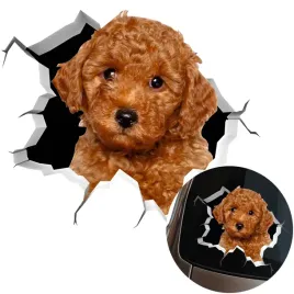 naklejka-grafika-na-samochod-zbita-szyba-wygladajacy-pies-pudel-dog-15x14