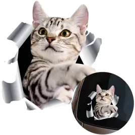 naklejka-grafika-na-samochod-kot-w-dziurze-3d-kotek-cat-kitty-lapka-16x145
