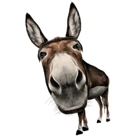 naklejka-na-samochod-auto-osiol-osiolek-funny-donkey-zwierze-15x15-druk