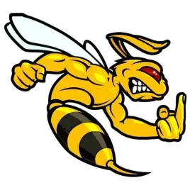naklejka-na-samochod-wsciekla-osa-szerszen-angry-bee-15x135-druk