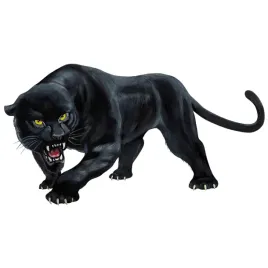 naklejka-na-samochod-czarna-pantera-wild-animal-panther-15x8-druk