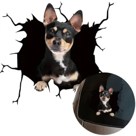 naklejka-grafika-na-samochod-zbita-szyba-wygladajacy-pies-piesek-dog-15x16