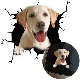 naklejka-grafika-na-samochod-zbita-szyba-wygladajacy-pies-labrador-15x165